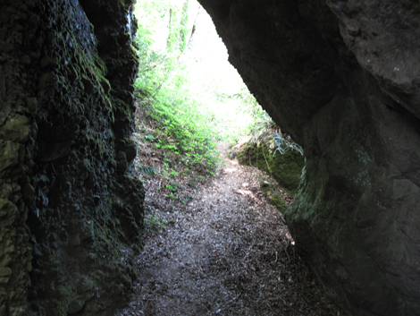 20140517hike (204)